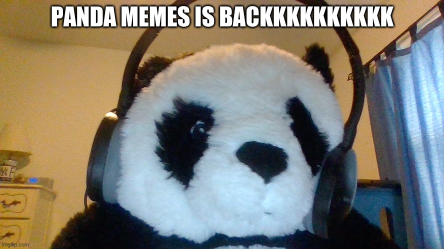 im bak | PANDA MEMES IS BACKKKKKKKKKK | image tagged in panda,panda memes | made w/ Imgflip meme maker