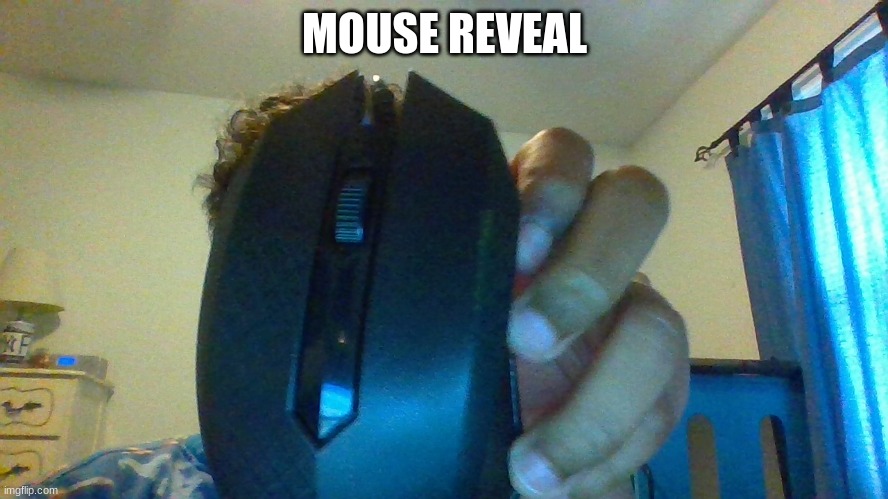 mouse | MOUSE REVEAL | image tagged in mouse | made w/ Imgflip meme maker