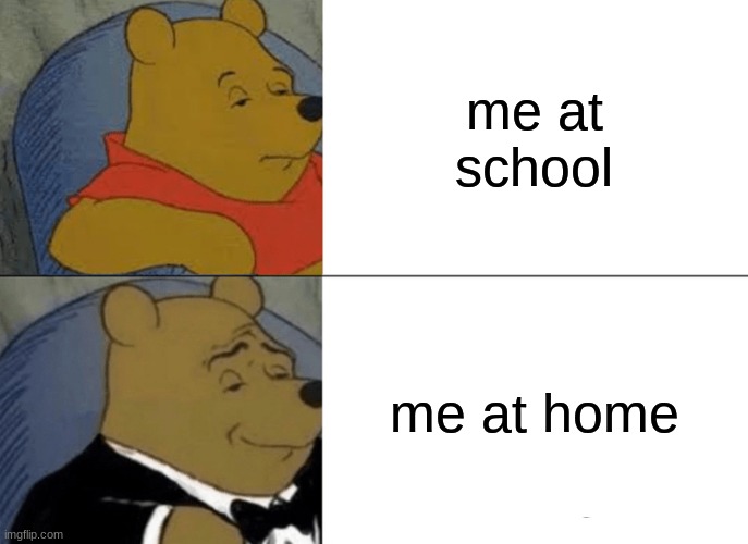 home and school meme | me at school; me at home | image tagged in memes,tuxedo winnie the pooh | made w/ Imgflip meme maker