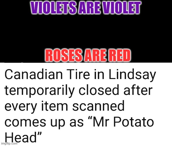 VIOLETS ARE VIOLET; ROSES ARE RED | image tagged in barney will eat all of your delectable biscuits,roses are red | made w/ Imgflip meme maker