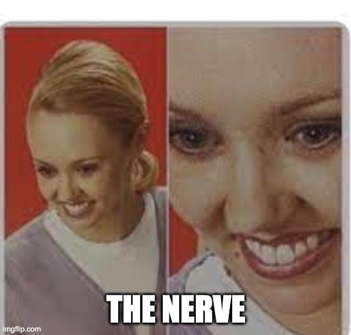 The nerve | THE NERVE | image tagged in pissed | made w/ Imgflip meme maker