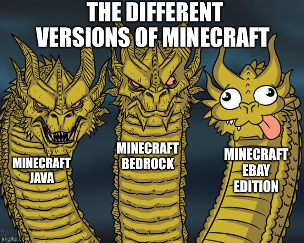 Anyone wanna play mcee (Minecraft eBay edition) | THE DIFFERENT VERSIONS OF MINECRAFT; MINECRAFT BEDROCK; MINECRAFT EBAY EDITION; MINECRAFT JAVA | image tagged in three-headed dragon | made w/ Imgflip meme maker
