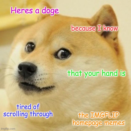 Here's your present/reward! | Heres a doge; because I know; that your hand is; tired of scrolling through; the IMGFLIP homepage memes | image tagged in memes,doge | made w/ Imgflip meme maker