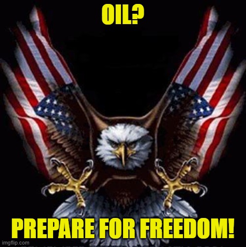 Bald Eagle | OIL? PREPARE FOR FREEDOM! | image tagged in bald eagle | made w/ Imgflip meme maker