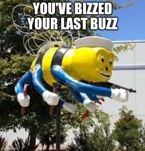 buzz | YOU'VE BIZZED YOUR LAST BUZZ | image tagged in original | made w/ Imgflip meme maker