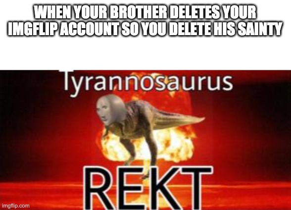 REKT | WHEN YOUR BROTHER DELETES YOUR IMGFLIP ACCOUNT SO YOU DELETE HIS SAINTY | image tagged in tyrannosaurus rekt,memes,funny | made w/ Imgflip meme maker