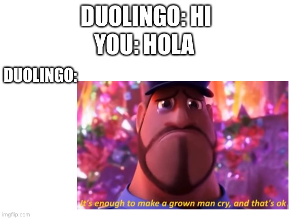 Duo meme | YOU: HOLA; DUOLINGO: HI; DUOLINGO: | image tagged in duolingo | made w/ Imgflip meme maker