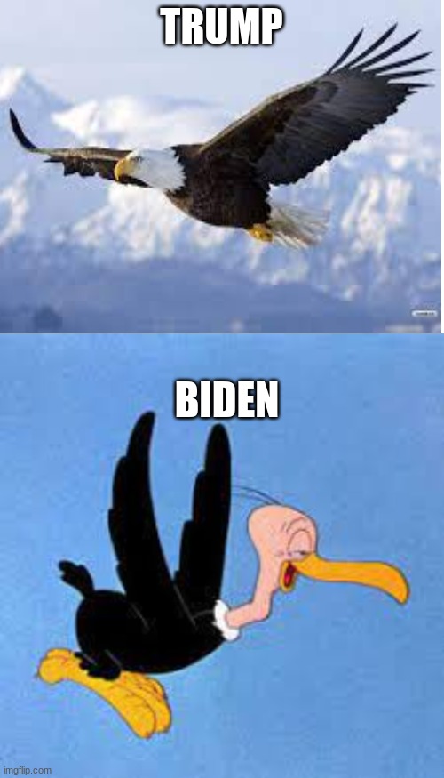 I think this accurately describes our 2 presidents | TRUMP; BIDEN | image tagged in blank white template,trump,biden,haha,funny,conservatives | made w/ Imgflip meme maker