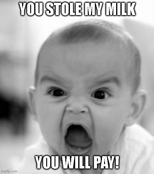 Angry Baby | YOU STOLE MY MILK; YOU WILL PAY! | image tagged in memes,angry baby | made w/ Imgflip meme maker