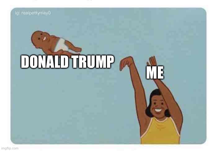 Dis fun | DONALD TRUMP; ME | image tagged in mom throwing baby | made w/ Imgflip meme maker