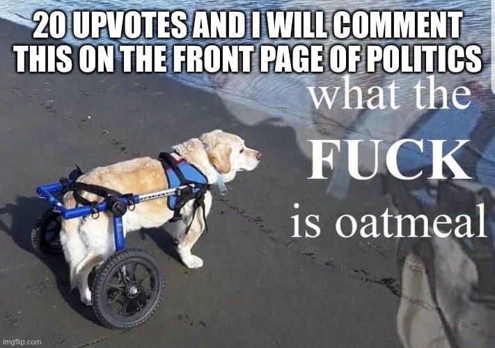 What the f**k is oatmeal | 20 UPVOTES AND I WILL COMMENT THIS ON THE FRONT PAGE OF POLITICS | image tagged in what the f k is oatmeal | made w/ Imgflip meme maker