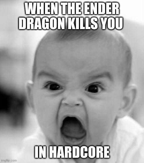 Angry Baby Meme | WHEN THE ENDER DRAGON KILLS YOU; IN HARDCORE | image tagged in memes,angry baby | made w/ Imgflip meme maker