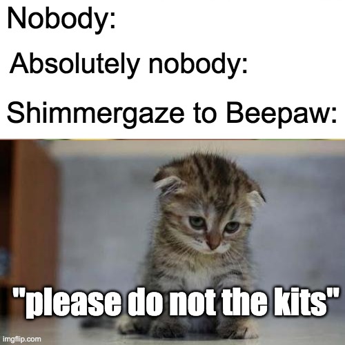 lol Shimmergaze be like (these warrior cats ocs) | Nobody:; Absolutely nobody:; Shimmergaze to Beepaw:; "please do not the kits" | image tagged in please do not the kits | made w/ Imgflip meme maker