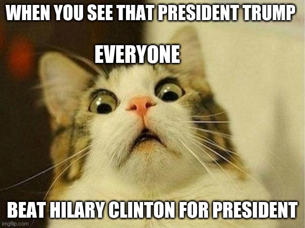 It was never meant to be...!!! | WHEN YOU SEE THAT PRESIDENT TRUMP; EVERYONE; BEAT HILARY CLINTON FOR PRESIDENT | image tagged in memes,scared cat | made w/ Imgflip meme maker