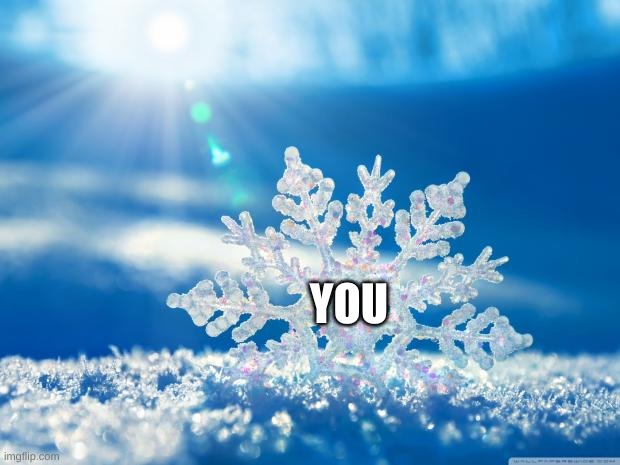 snowflake | YOU | image tagged in snowflake | made w/ Imgflip meme maker