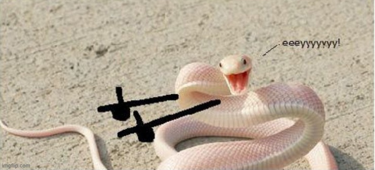 Snek Pun | image tagged in snek pun | made w/ Imgflip meme maker