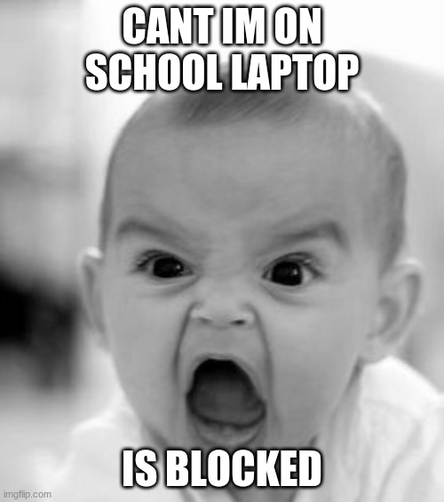 Angry Baby Meme | CANT IM ON SCHOOL LAPTOP; IS BLOCKED | image tagged in memes,angry baby | made w/ Imgflip meme maker