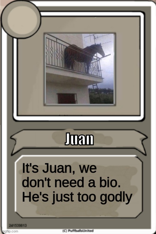 Character Bio | Juan; It's Juan, we don't need a bio. He's just too godly | image tagged in character bio | made w/ Imgflip meme maker