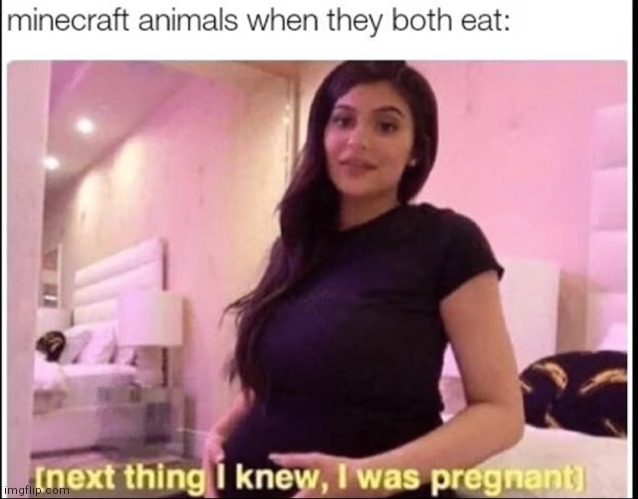 Lol, instant babies | image tagged in minecraft | made w/ Imgflip meme maker