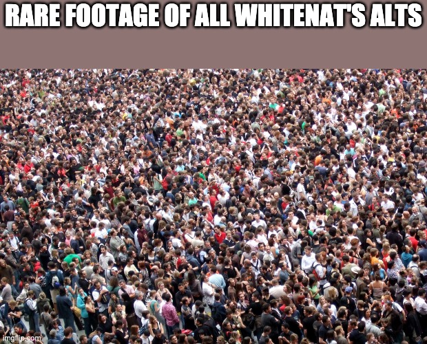 crowd of people | RARE FOOTAGE OF ALL WHITENAT'S ALTS | image tagged in crowd of people | made w/ Imgflip meme maker