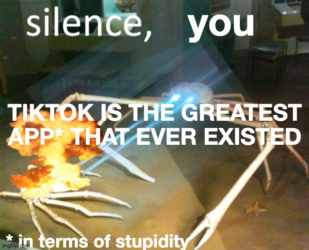 Silence Crab | you * in terms of stupidity TIKTOK IS THE GREATEST APP* THAT EVER EXISTED | image tagged in silence crab | made w/ Imgflip meme maker