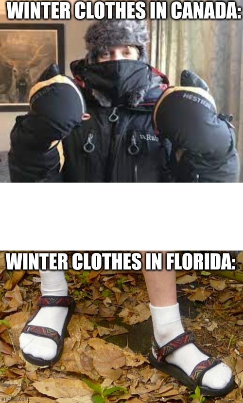 Canada vs. Florida |  WINTER CLOTHES IN CANADA:; WINTER CLOTHES IN FLORIDA: | image tagged in blank text box,what are those,meanwhile in canada,canada,america vs canada,canadian | made w/ Imgflip meme maker