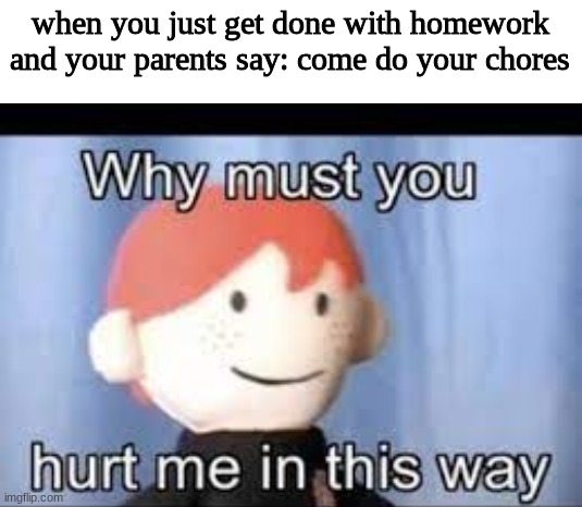 why | when you just get done with homework and your parents say: come do your chores | image tagged in memes,yo dawg heard you | made w/ Imgflip meme maker