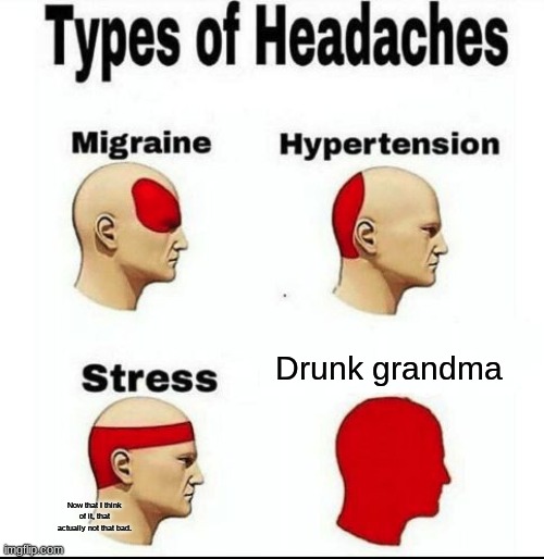 Types of Headaches meme | Drunk grandma; Now that I think of it, that actually not that bad. | image tagged in types of headaches meme | made w/ Imgflip meme maker