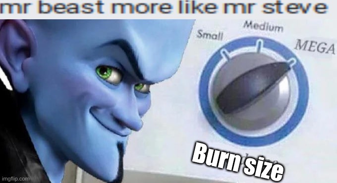 Idk What To Call This Thing | Burn size | image tagged in mega mind size | made w/ Imgflip meme maker