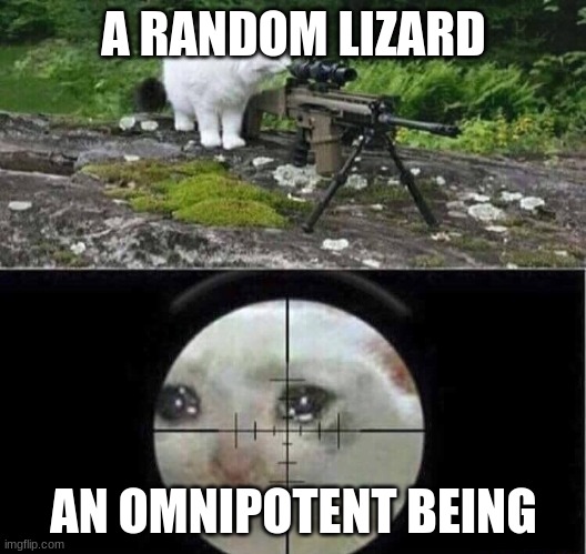 A RANDOM LIZARD AN OMNIPOTENT BEING | image tagged in sniper cat | made w/ Imgflip meme maker