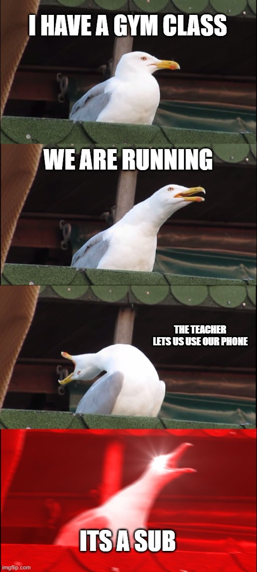 my class rn: | I HAVE A GYM CLASS; WE ARE RUNNING; THE TEACHER LETS US USE OUR PHONE; ITS A SUB | made w/ Imgflip meme maker