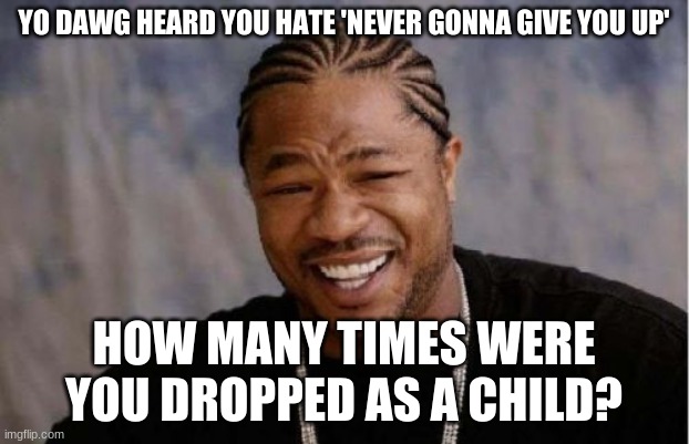 Yo Dawg Heard You | YO DAWG HEARD YOU HATE 'NEVER GONNA GIVE YOU UP'; HOW MANY TIMES WERE YOU DROPPED AS A CHILD? | image tagged in memes,yo dawg heard you | made w/ Imgflip meme maker