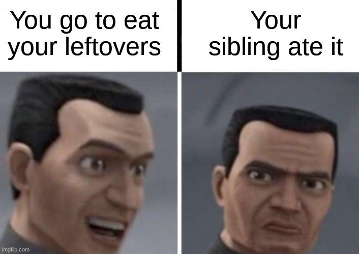 Clone Trooper faces | You go to eat your leftovers; Your sibling ate it | image tagged in clone trooper faces | made w/ Imgflip meme maker