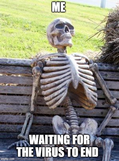 Waiting Skeleton Meme | ME; WAITING FOR THE VIRUS TO END | image tagged in memes,waiting skeleton | made w/ Imgflip meme maker