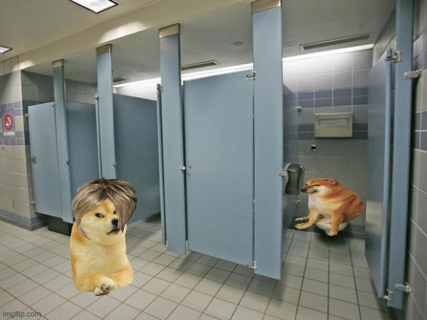 Bathroom stall | image tagged in bathroom stall | made w/ Imgflip meme maker