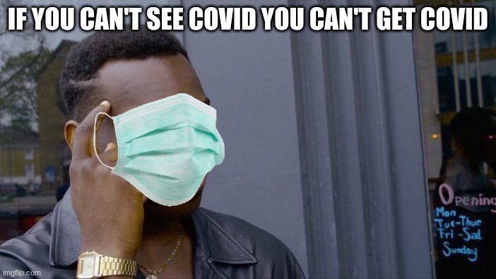 Smort | IF YOU CAN'T SEE COVID YOU CAN'T GET COVID | image tagged in memes,roll safe think about it | made w/ Imgflip meme maker
