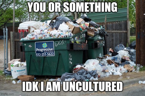 garbage  | YOU OR SOMETHING; IDK I AM UNCULTURED | image tagged in garbage | made w/ Imgflip meme maker