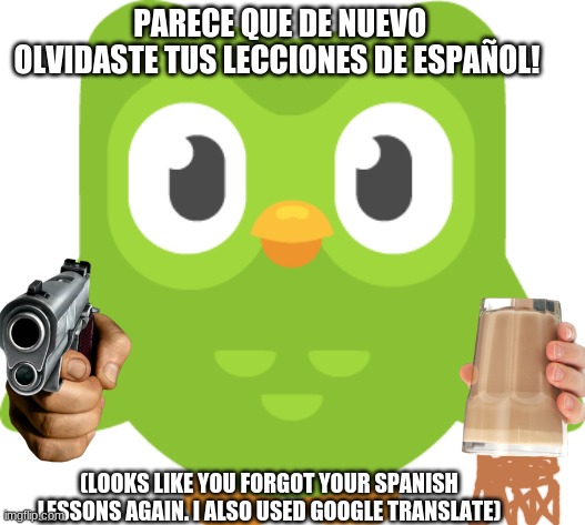 Duolingo's Here! | PARECE QUE DE NUEVO OLVIDASTE TUS LECCIONES DE ESPAÑOL! (LOOKS LIKE YOU FORGOT YOUR SPANISH LESSONS AGAIN. I ALSO USED GOOGLE TRANSLATE) | image tagged in bird | made w/ Imgflip meme maker
