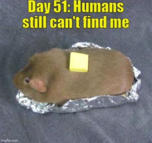 Posting meeeeeems from my old account | image tagged in philosoraptor | made w/ Imgflip meme maker