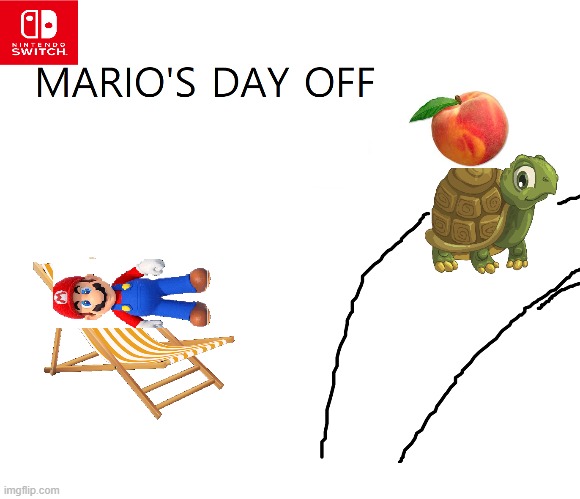 LOLOLOLOL | image tagged in mario,fake games,fake switch games,screw you peach,bowser | made w/ Imgflip meme maker