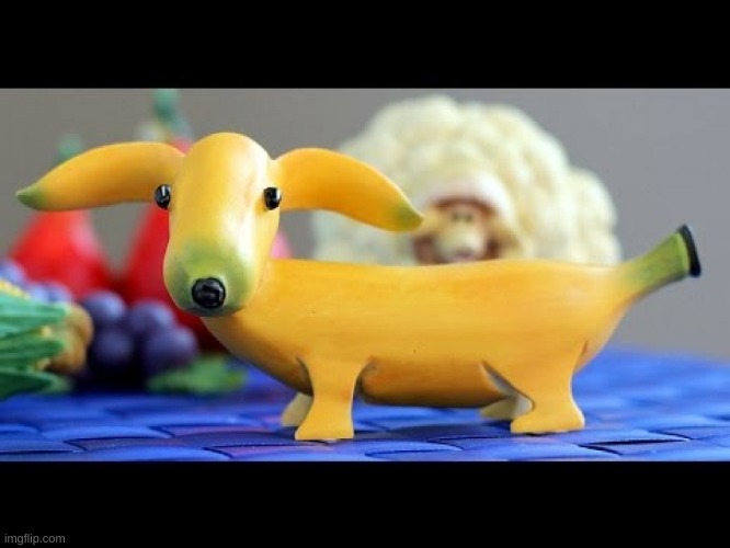 Bannana dog | image tagged in dog,banana,animals,funny,funny food | made w/ Imgflip meme maker