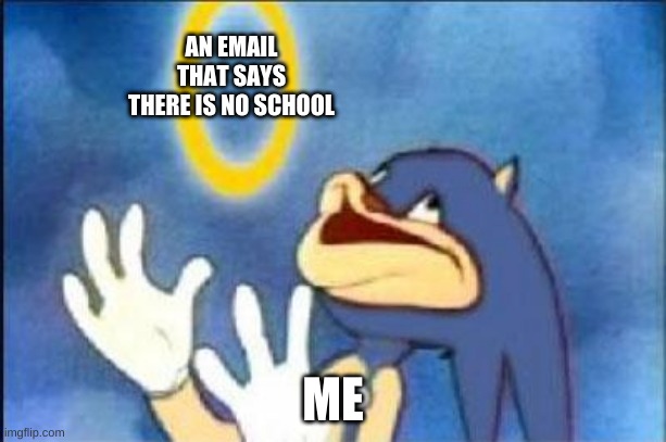 school be like |  AN EMAIL THAT SAYS THERE IS NO SCHOOL; ME | image tagged in sonic derp | made w/ Imgflip meme maker