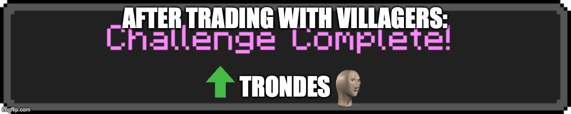 Challenge Complete | AFTER TRADING WITH VILLAGERS:; TRONDES | image tagged in challenge complete | made w/ Imgflip meme maker