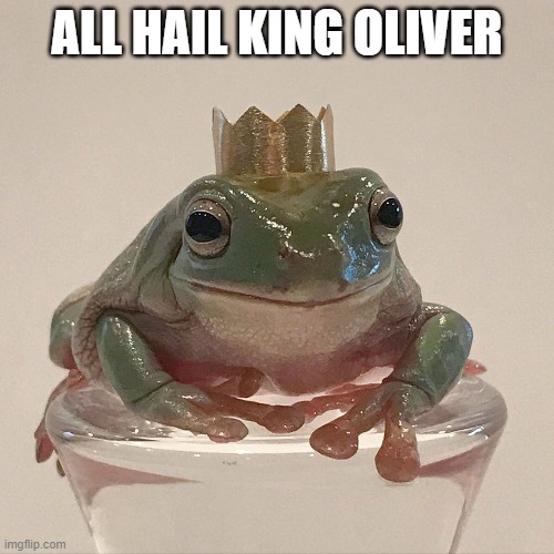 ALL HAIL KING OLIVER | made w/ Imgflip meme maker