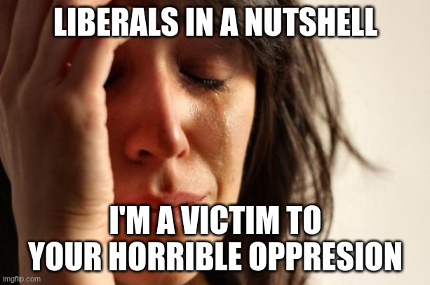 First World Problems | LIBERALS IN A NUTSHELL; I'M A VICTIM TO YOUR HORRIBLE OPPRESION | image tagged in memes,first world problems | made w/ Imgflip meme maker