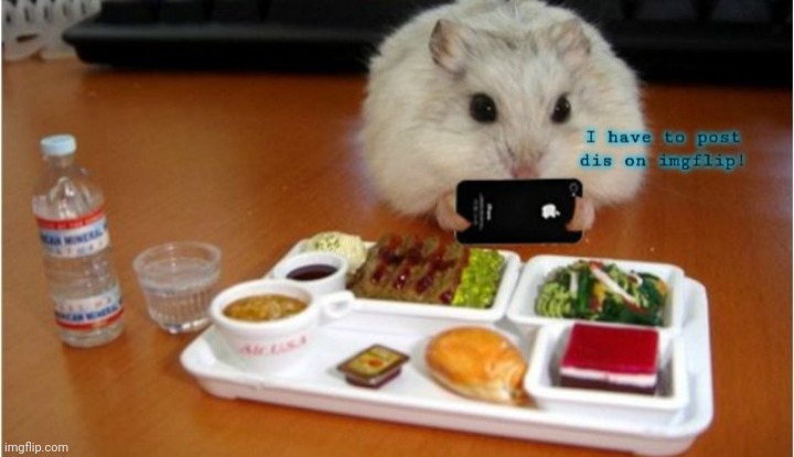 Another old meem :D | image tagged in hdhsks | made w/ Imgflip meme maker