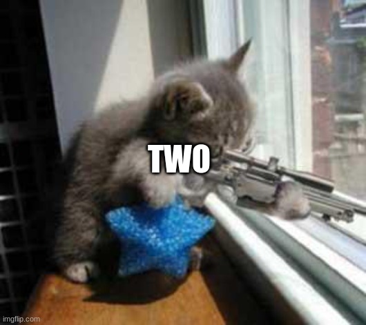 CatSniper | TWO | image tagged in catsniper | made w/ Imgflip meme maker