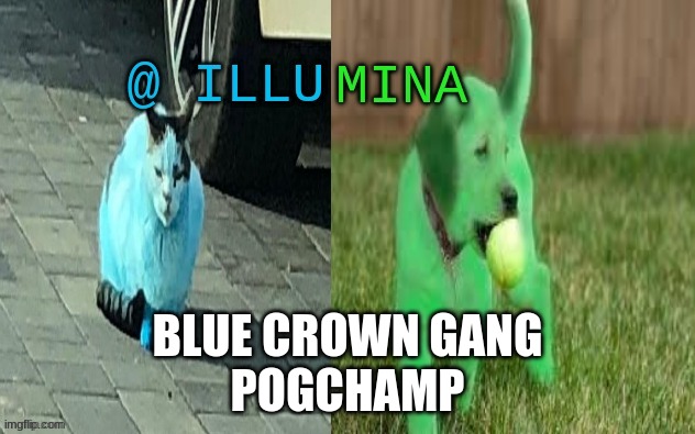 illumina new temp | BLUE CROWN GANG
POGCHAMP | image tagged in illumina new temp | made w/ Imgflip meme maker