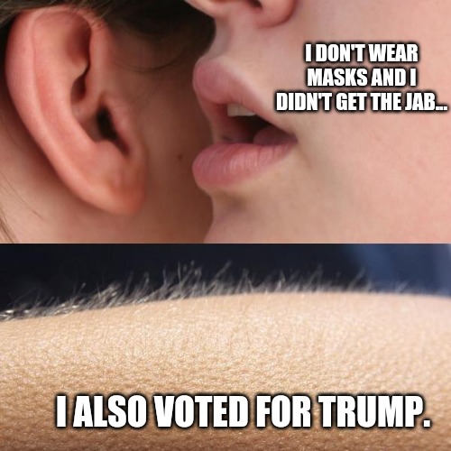 Whisper and Goosebumps | I DON'T WEAR MASKS AND I DIDN'T GET THE JAB... I ALSO VOTED FOR TRUMP. | image tagged in whisper and goosebumps | made w/ Imgflip meme maker
