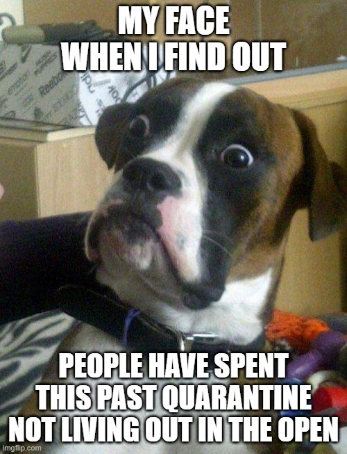 There are people who have literally never left their house since March last year. Dag. | MY FACE WHEN I FIND OUT; PEOPLE HAVE SPENT THIS PAST QUARANTINE NOT LIVING OUT IN THE OPEN | image tagged in blankie the shocked dog,what have you been doing,seriously,covidiots,coronasanity,upwards of 95 percent survival | made w/ Imgflip meme maker